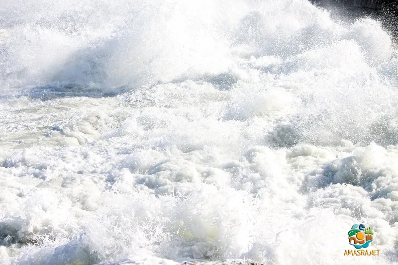 Sturm